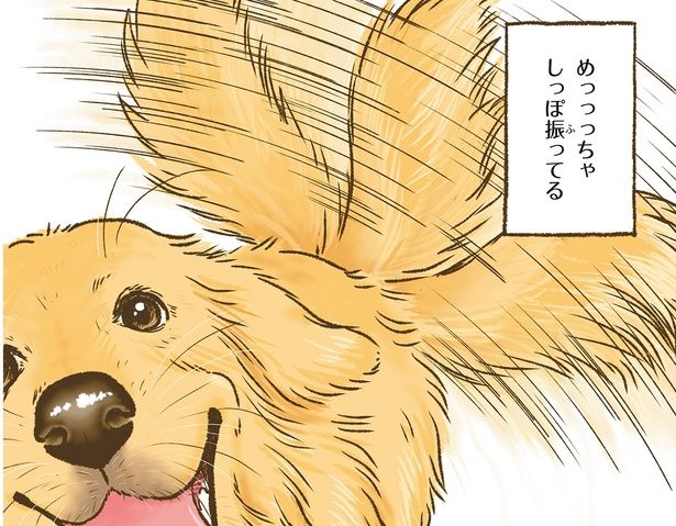 しっぽを振ってる （C）かんち（8kanchi8）／KADOKAWA