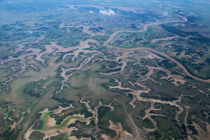 アマゾンは深刻な干ばつ、森林火災の増加、生態系の喪失など気候変動の影響を極端に受けている。