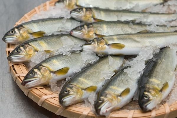 滋賀の老舗・木村水産から高級冷凍ご飯「贅沢御膳」が登場。レンジで本格的なごちそう！