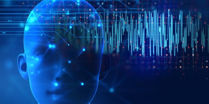 チンパンジーの叫びだけが人の「声エリア」を揺さぶる