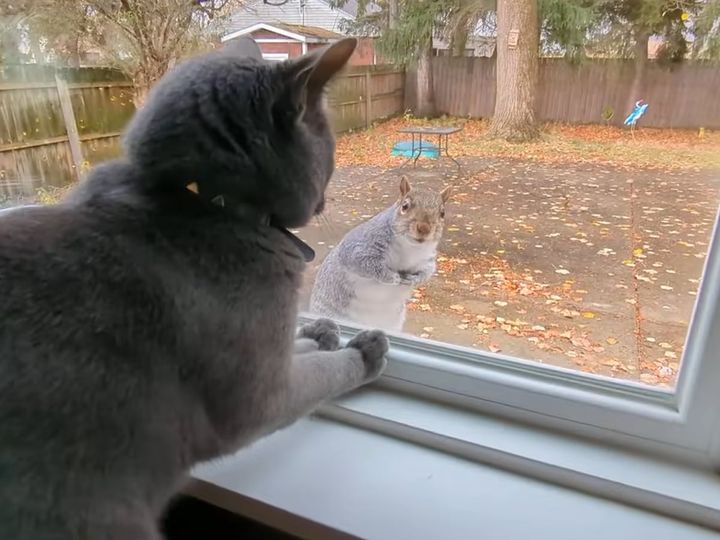 目の前に現れたのは……！