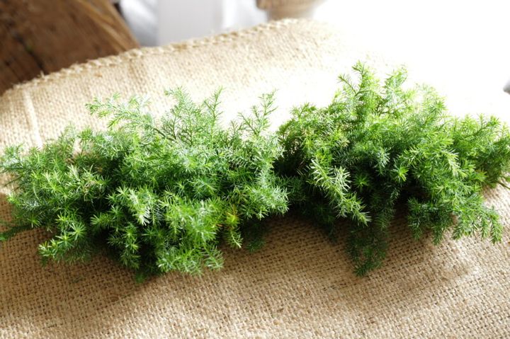 京都・フローリスト「POUSSE（プーゼ）」07