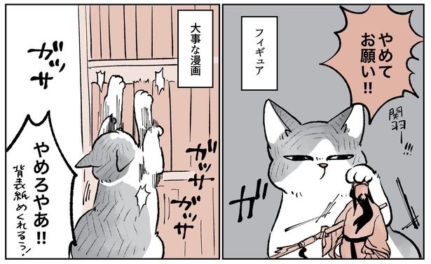 「こねこのドレイ9」3/16 画像提供：長谷川ろくさん