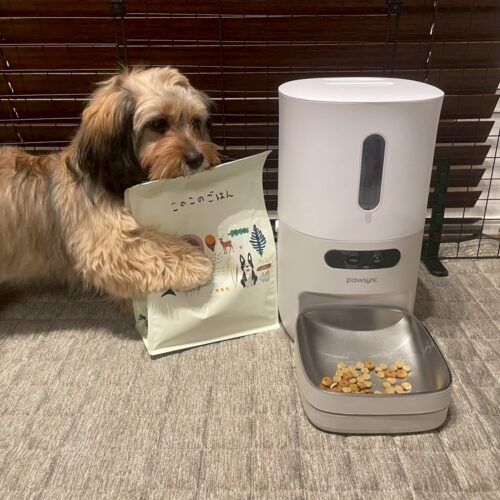 Z世代PRパーソンがガチで選んだ「2025年ベストバイ」16選！