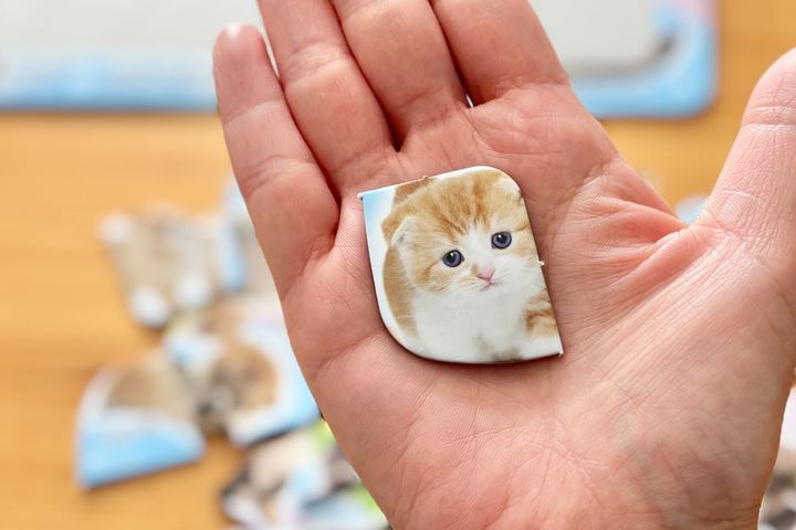 大人の脳トレにも！100均パズルのおすすめ7選【セリア・ダイソー・キャンドゥ】子ども向けも紹介