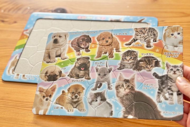 大人の脳トレにも！100均パズルのおすすめ7選【セリア・ダイソー・キャンドゥ】子ども向けも紹介