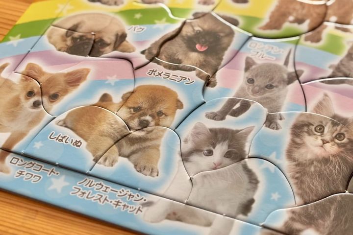 大人の脳トレにも！100均パズルのおすすめ7選【セリア・ダイソー・キャンドゥ】子ども向けも紹介