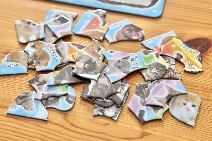 大人の脳トレにも！100均パズルのおすすめ7選【セリア・ダイソー・キャンドゥ】子ども向けも紹介