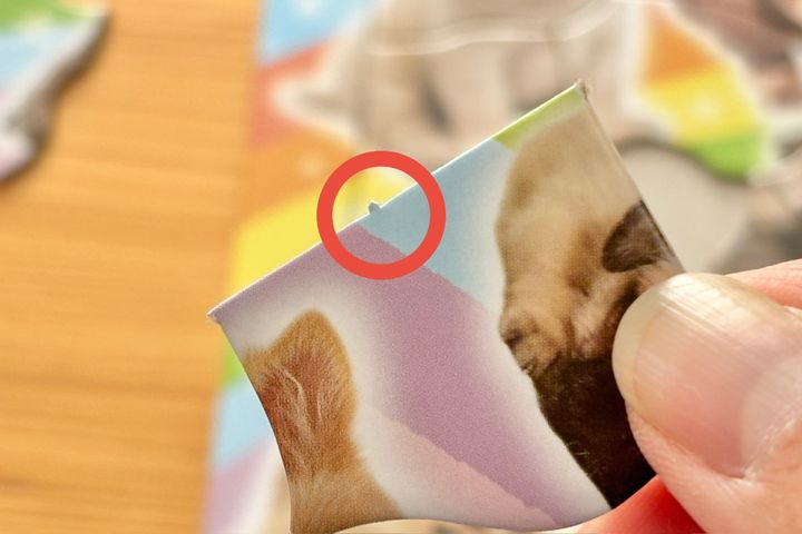 大人の脳トレにも！100均パズルのおすすめ7選【セリア・ダイソー・キャンドゥ】子ども向けも紹介