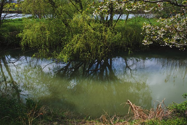 清水裕貴《古ヶ崎》 2025年 （C）Yuki Shimizu