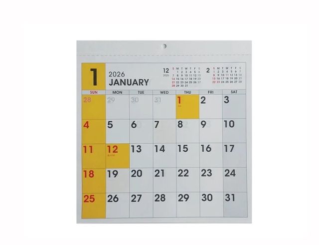 ダイソー 壁掛けカレンダー（正方形、１２カラー）