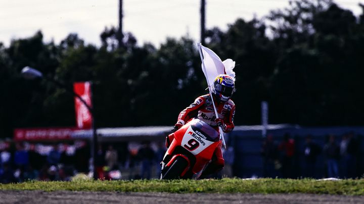 パドックから見たコンチネンタルサーカス【ノリックと生姜焼き】