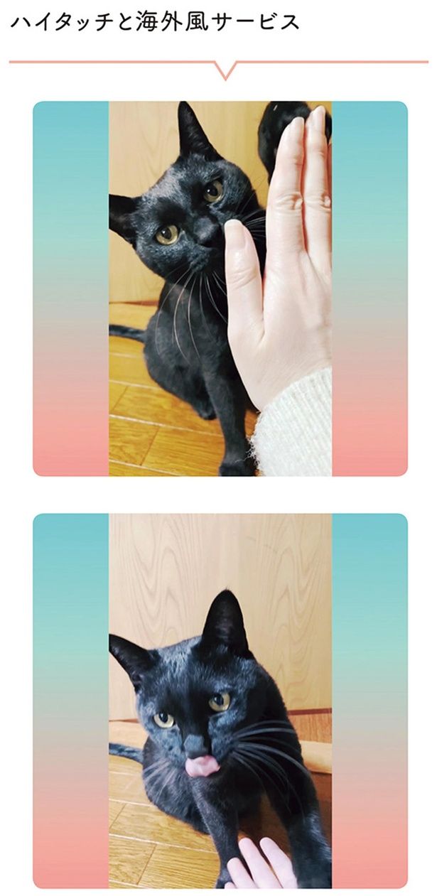ハイタッチと海外風サービス （C）AKR／KADOKAWA