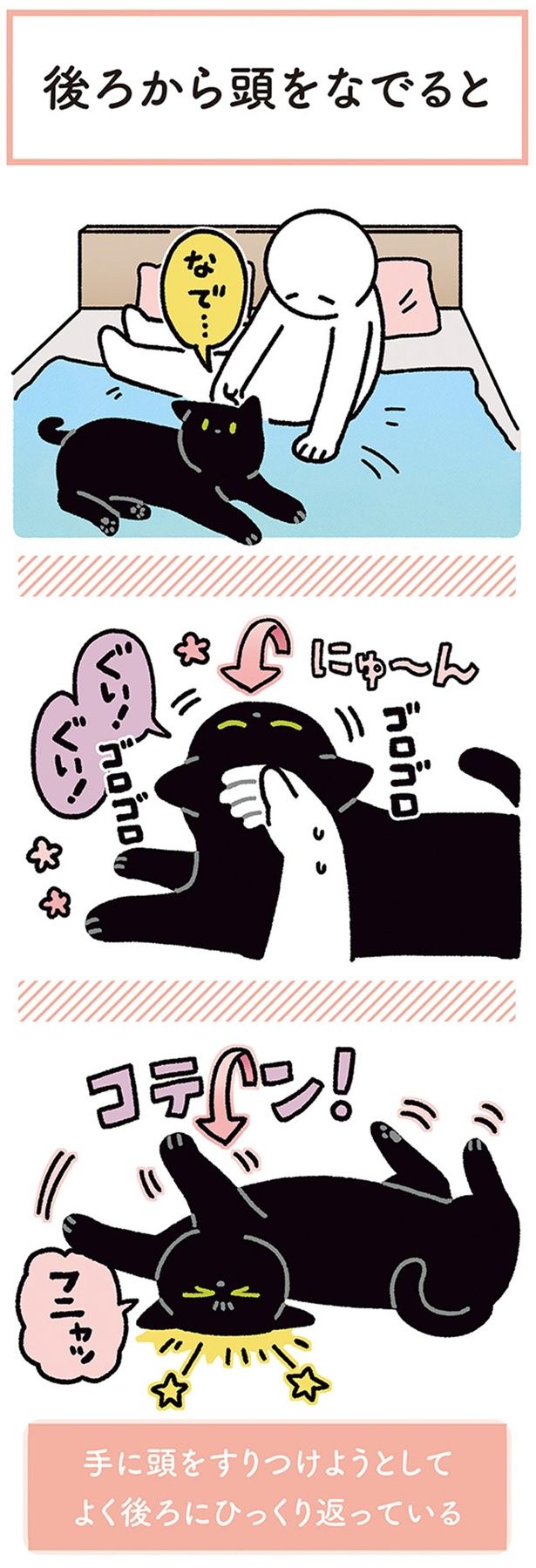 コテン！ （C）AKR／KADOKAWA