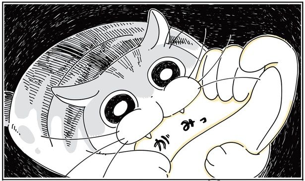 猫を撫でていたら… （C）キュルZ／KADOKAWA