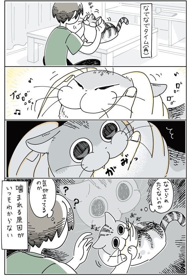 なでられたくないのか、気が立っているのか （C）キュルZ／KADOKAWA