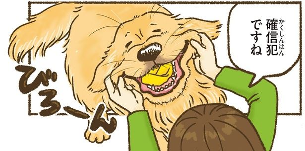 確信犯ですね （C）かんち（8kanchi8）／KADOKAWA