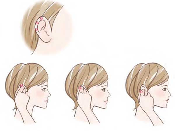 4．耳の縁（ふち）をほぐす