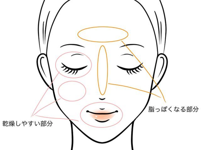 スキンケアを塗る位置
