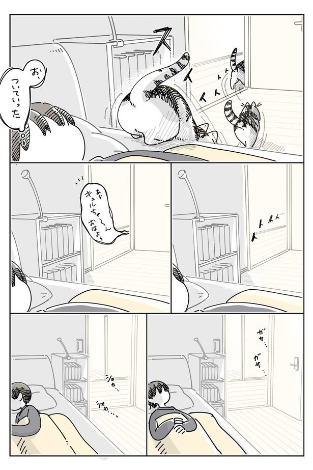 02 画像提供：キュルZ@kyuryuZ