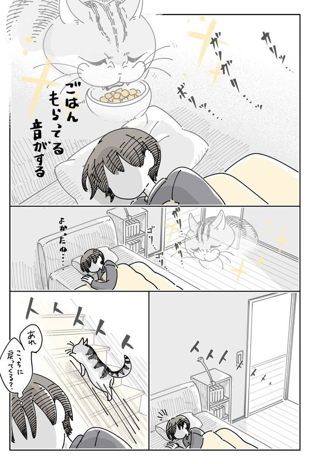 03 画像提供：キュルZ@kyuryuZ