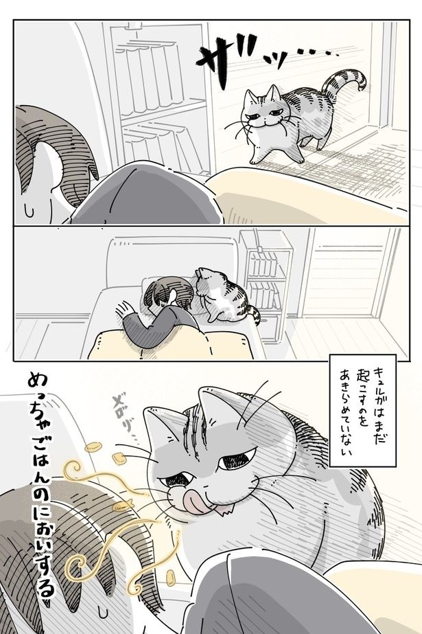 04 画像提供：キュルZ@kyuryuZ