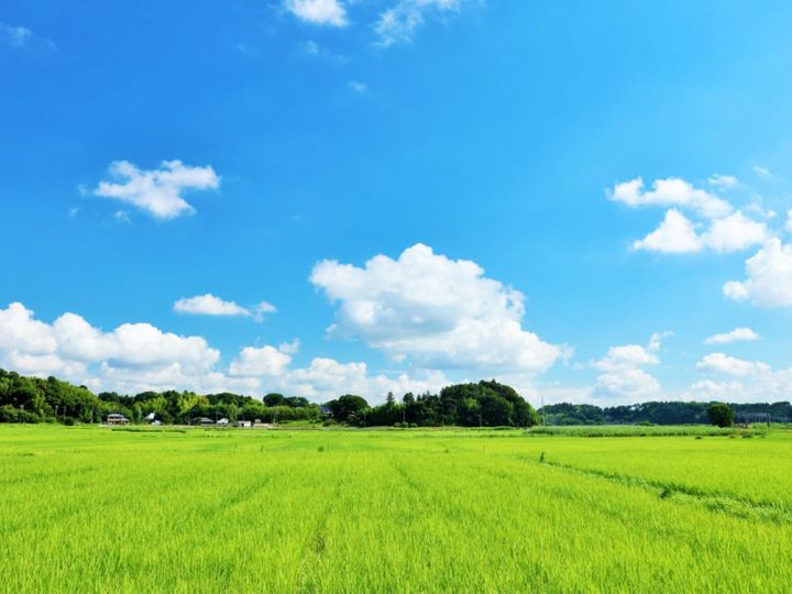 All About ニュース編集部が全国211人を対象に実施した「北陸地方・群馬県の私立進学校に関するアンケート」の調査結果から、「出身と聞いてすごいと思う北陸地方の私立進学校」ランキングを発表！ 2位「新潟明訓高等学校」を抑えた1位は？