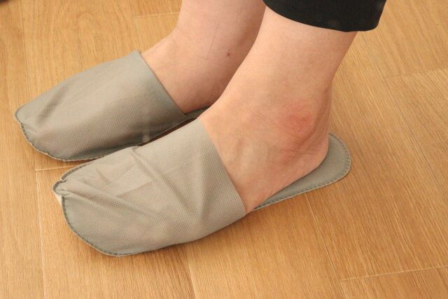 不織布スリッパ（2足、グレー） 使用例