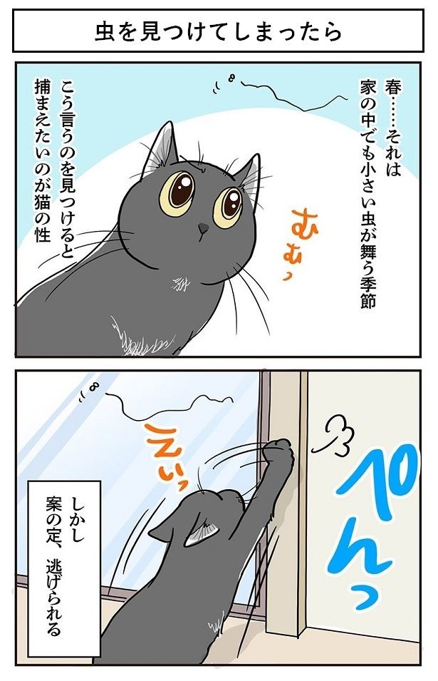 虫を見つけてしまった、朔ちゃん