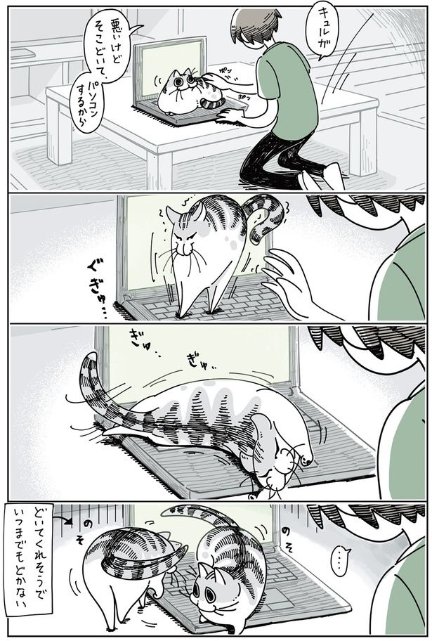 どいてくれそうでいつまでもどかない （C）キュルZ／KADOKAWA