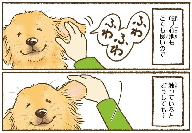 触っていると （C）かんち（8kanchi8）／KADOKAWA