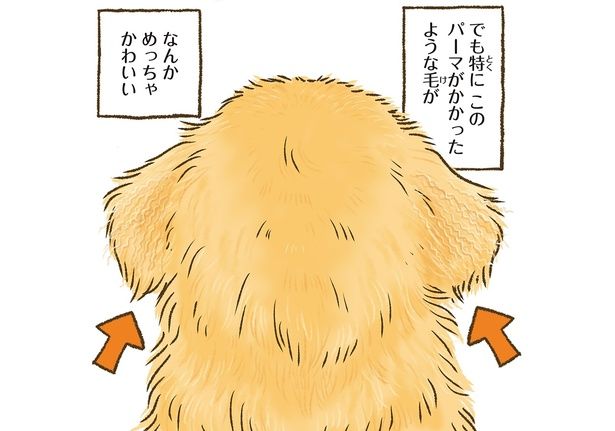 後頭部がかわいい （C）かんち（8kanchi8）／KADOKAWA