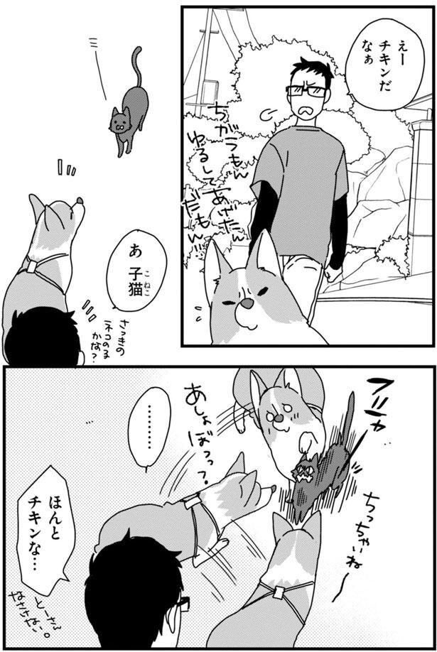 ほんとチキンな… (C)らくだ／KADOKAWA