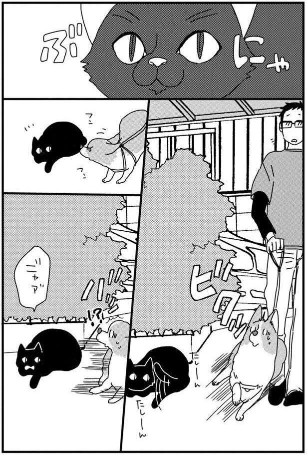 ぶにゃ (C)らくだ／KADOKAWA