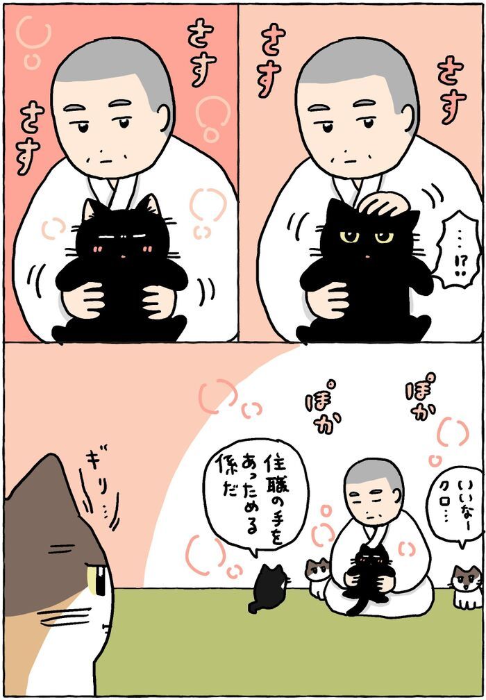 ねこって…あったかい。【てらねこミー子の日常】