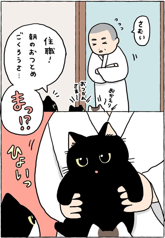 ねこって…あったかい。【てらねこミー子の日常】
