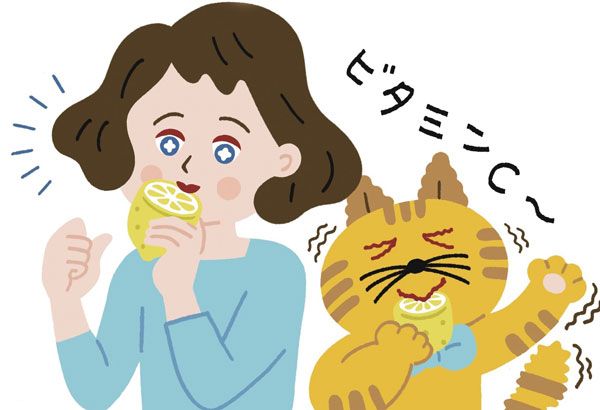 生活習慣編7：ビタミンCをたっぷりとると美白によい？