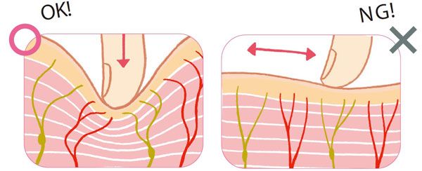 ポイント4：筋肉に対して“垂直に押す”