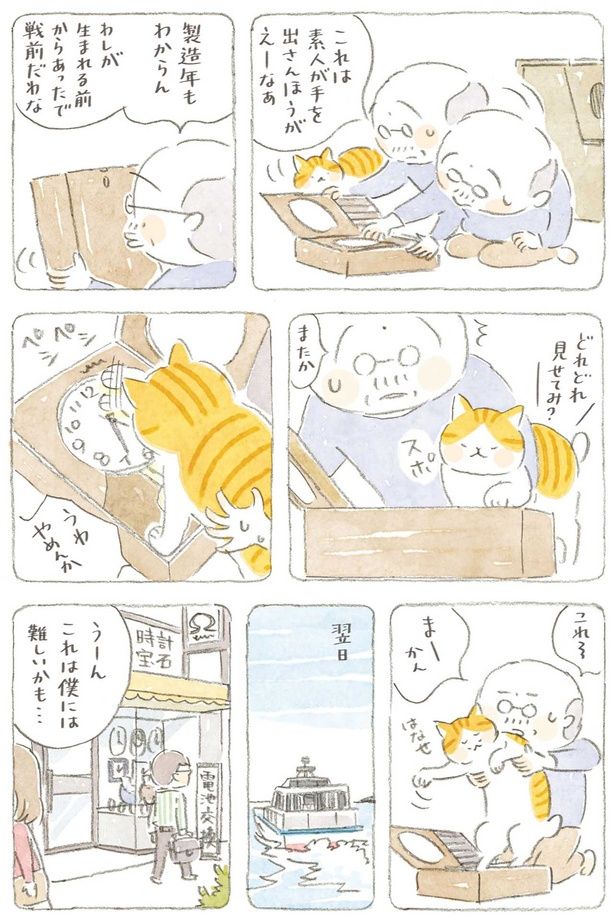 これは素人が手を出さんほうがえーなぁ （C）ねこまき（ミューズワーク）／KADOKAWA