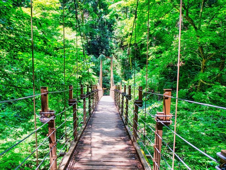 All About ニュース編集部は、全国10～70代の男女250人を対象に「道の駅」に関する独自のアンケート調査を実施。子連れで行きたいと思う「岡山県の道の駅」で1位に選ばれたのは？