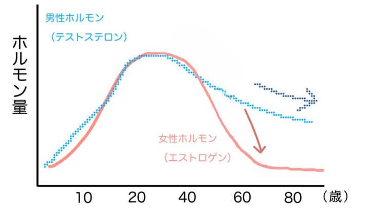 男性ホルモン 女性ホルモン