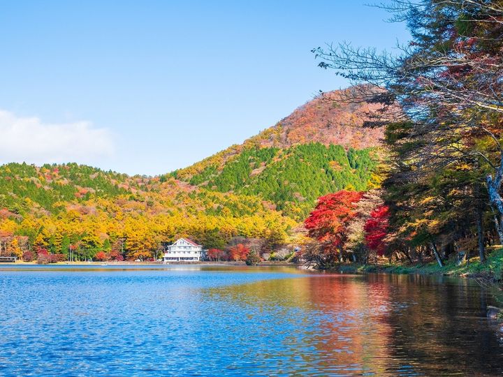 All About ニュース編集部が全国211人を対象に実施した「北陸地方・群馬県の私立進学校に関するアンケート」の調査結果から、「出身と聞いてすごいと思う群馬県の私立進学校」ランキングを発表！ 2位「樹徳高等学校」を抑えた1位は？