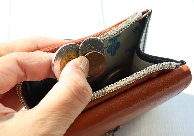 宝島社ムック付録のSNOOPYのYEAR OF THE HORSE MINI WALLET6