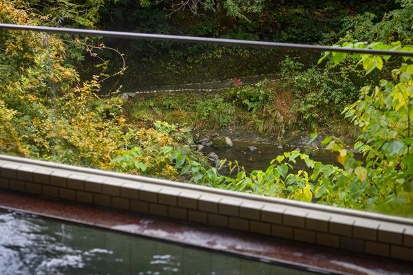 【石川県加賀市】老舗旅館「白鷺湯たわらや」の大浴場にサウナと水風呂、半露天風呂が新登場！