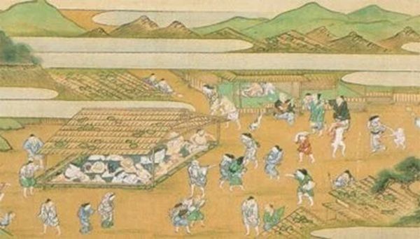 【石川県加賀市】老舗旅館「白鷺湯たわらや」の大浴場にサウナと水風呂、半露天風呂が新登場！