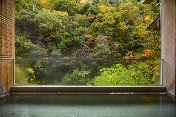 【石川県加賀市】老舗旅館「白鷺湯たわらや」の大浴場にサウナと水風呂、半露天風呂が新登場！
