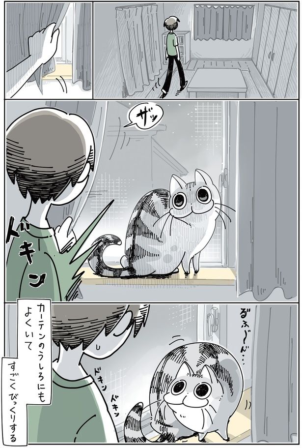 カーテンのうしろにもよくいて、すごくびっくりする （C）キュルZ／KADOKAWA