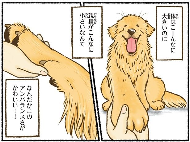 アンバランスさがかわいい…！ （C）かんち（8kanchi8）／KADOKAWA