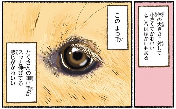 このまつ毛 （C）かんち（8kanchi8）／KADOKAWA