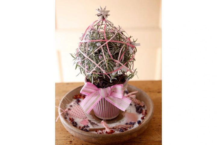 ラヴェンダー、ルーの苗で手軽に作れる【ハーブのミニクリスマスツリー】プレゼントにも◎
